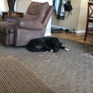 Meet your Posher, Katherine